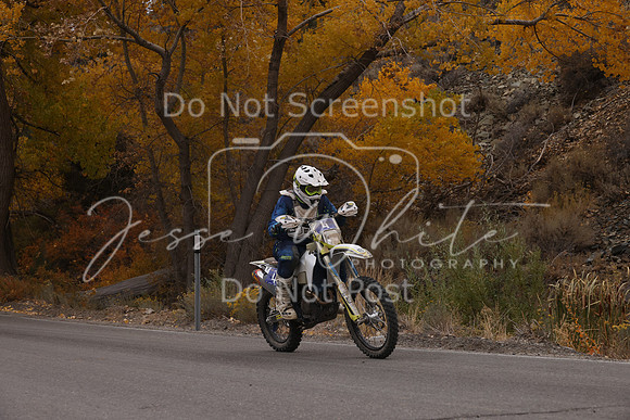 JW_VCGP'21_3174