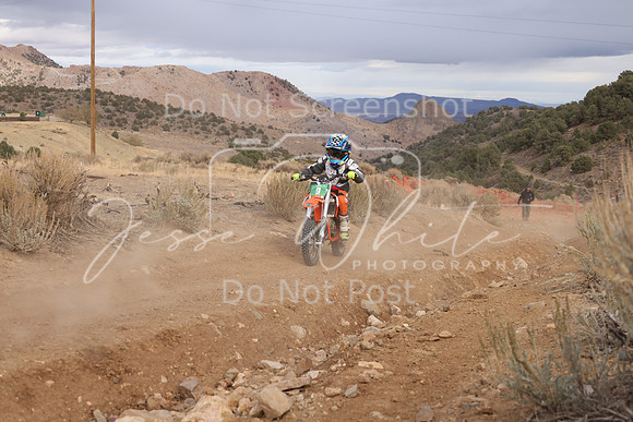 JW_VCGP'21_3766