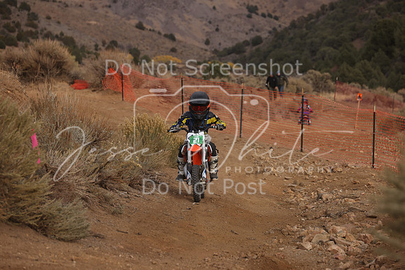 JW_VCGP'21_3777