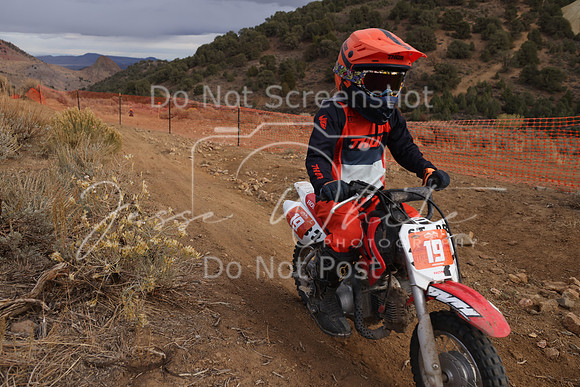 JW_VCGP'21_3787