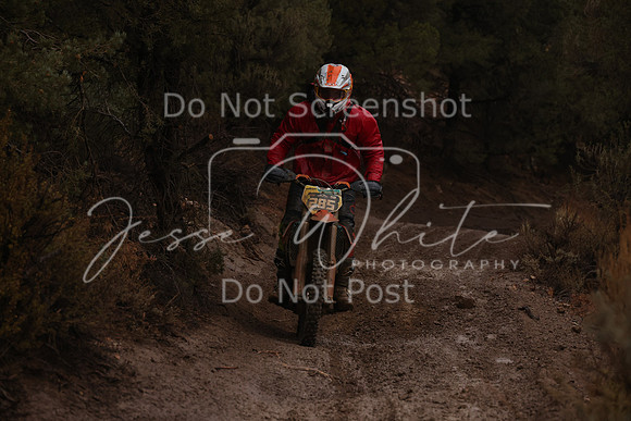 JW_VCGP'21_6081