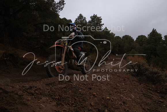 JW_VCGP'21_6102