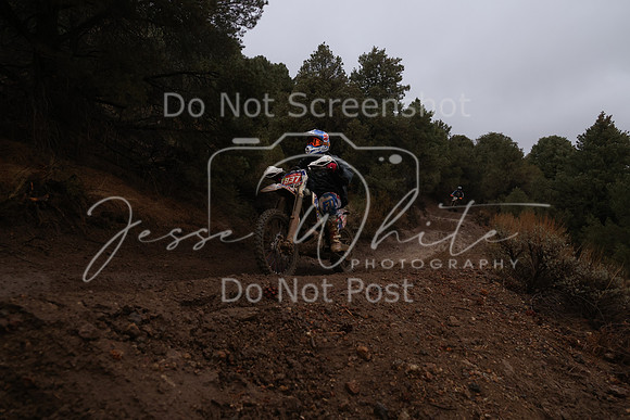 JW_VCGP'21_6118
