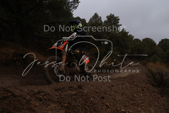 JW_VCGP'21_6167