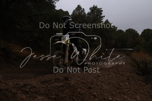 JW_VCGP'21_6186