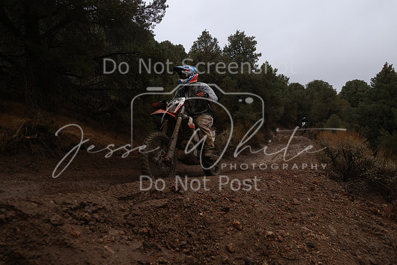JW_VCGP'21_6240