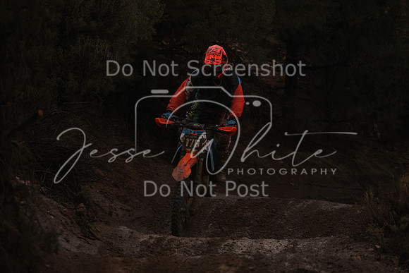 JW_VCGP'21_6255