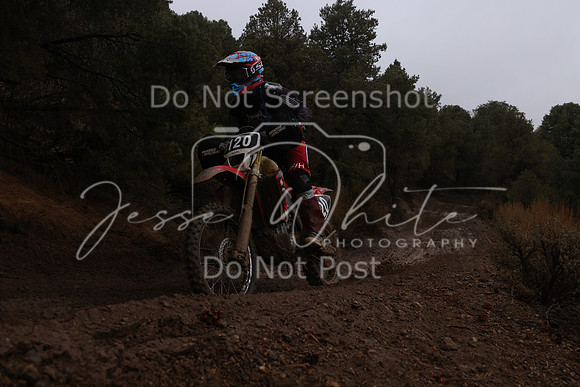 JW_VCGP'21_6253