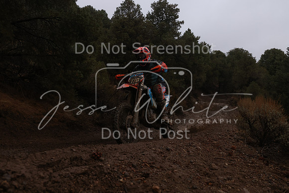 JW_VCGP'21_6259