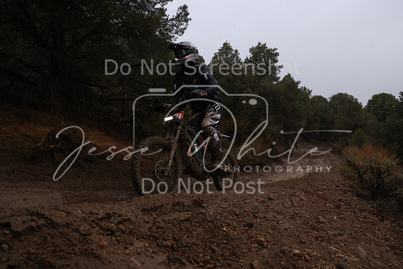 JW_VCGP'21_6278