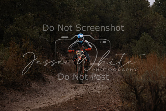 JW_VCGP'21_6302