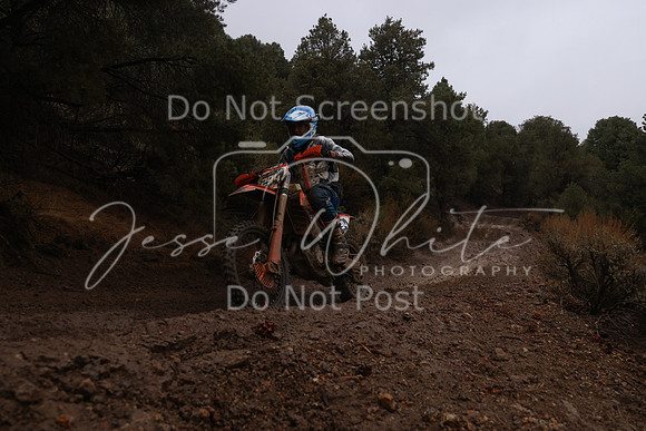JW_VCGP'21_6305