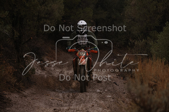 JW_VCGP'21_6308