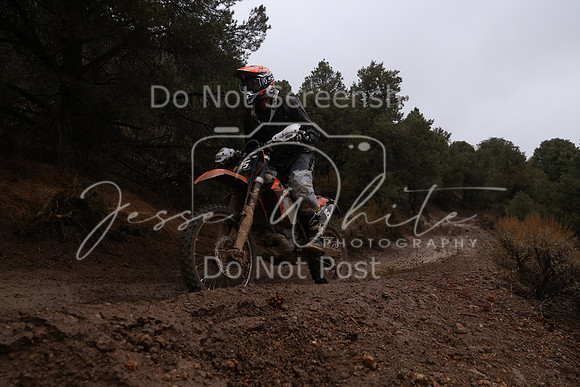 JW_VCGP'21_6318