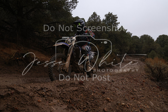 JW_VCGP'21_6329
