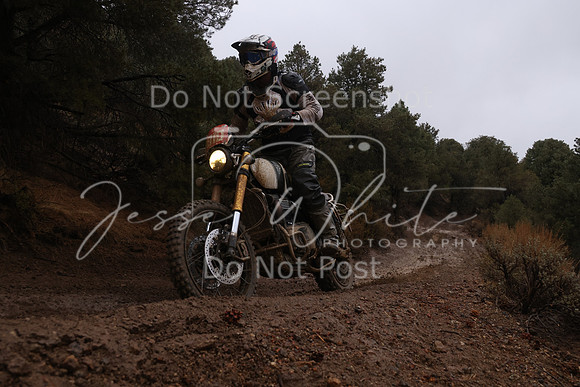 JW_VCGP'21_6324