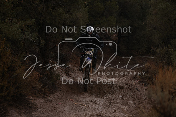 JW_VCGP'21_6407
