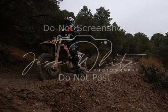 JW_VCGP'21_6452