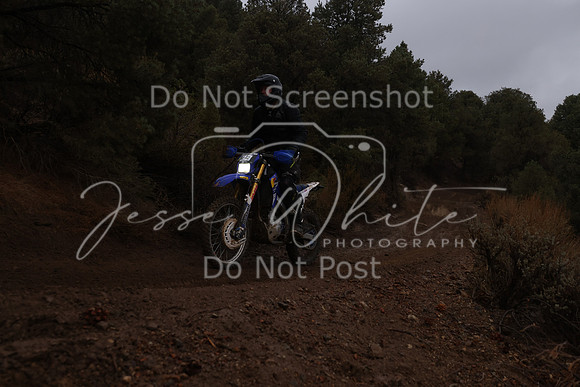 JW_VCGP'21_5649