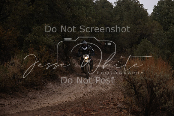 JW_VCGP'21_6462
