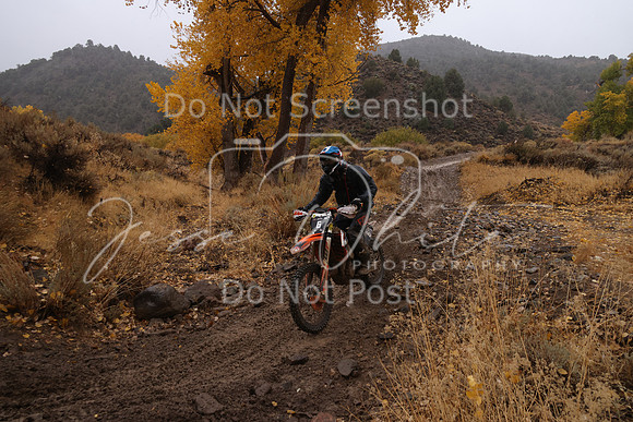 JW_VCGP'21_6485