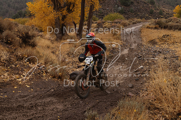 JW_VCGP'21_6515