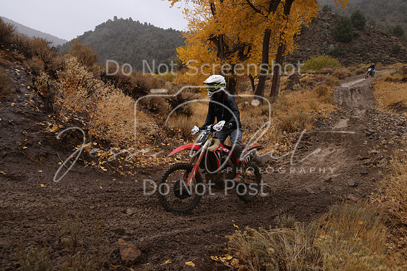 JW_VCGP'21_6528