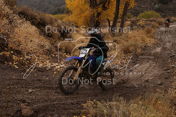 JW_VCGP'21_6537