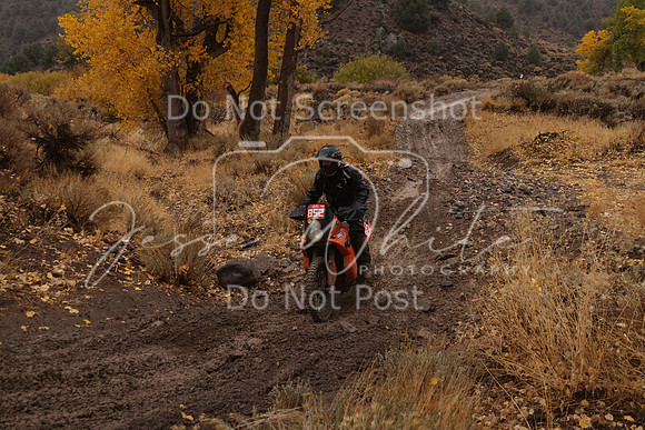 JW_VCGP'21_6547
