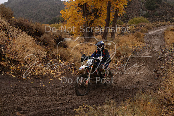 JW_VCGP'21_6556