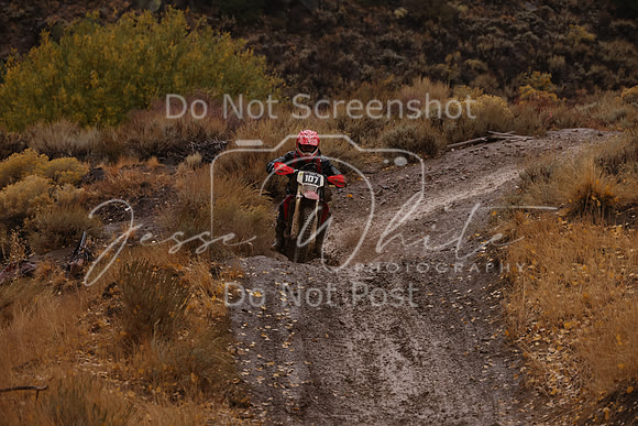 JW_VCGP'21_6639