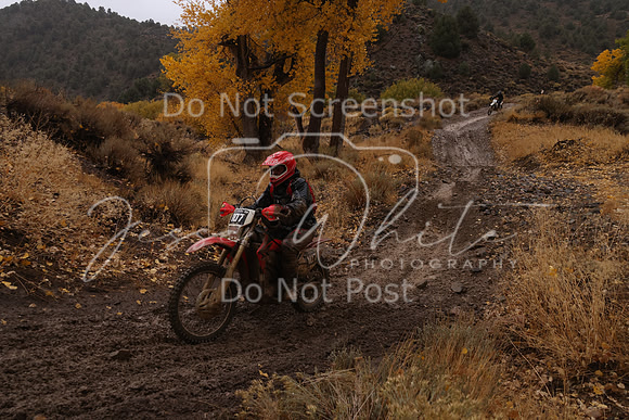 JW_VCGP'21_6649