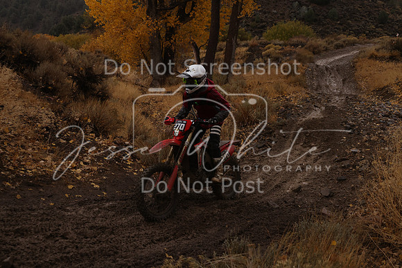JW_VCGP'21_6708