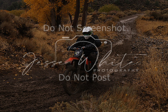 JW_VCGP'21_6717