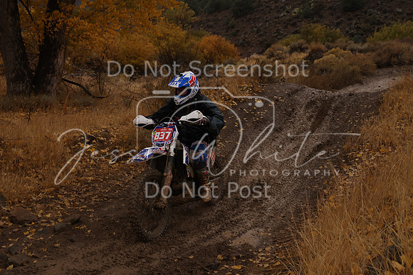 JW_VCGP'21_6748