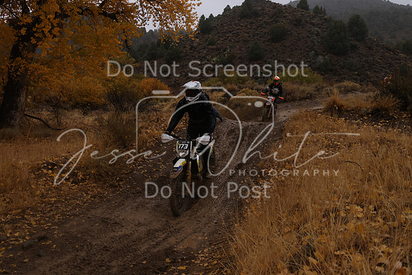 JW_VCGP'21_6754