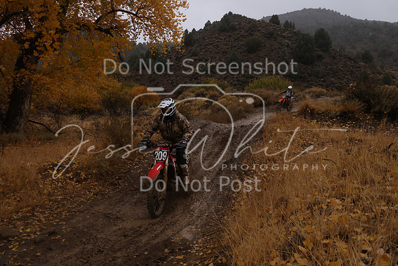 JW_VCGP'21_6782