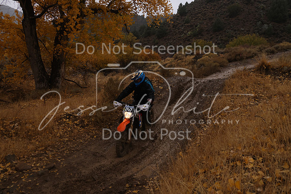 JW_VCGP'21_6844