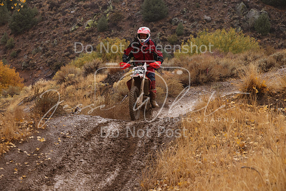 JW_VCGP'21_7196