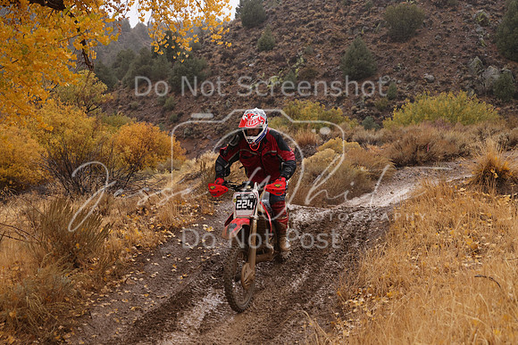 JW_VCGP'21_7199