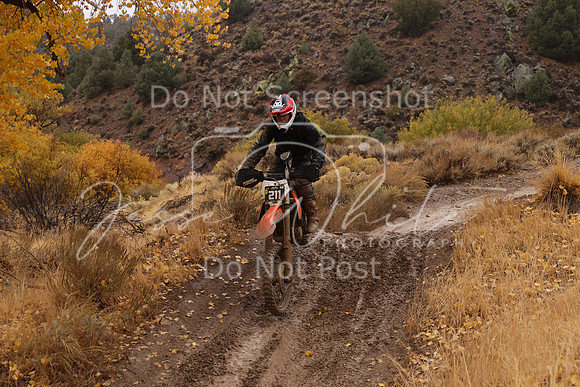 JW_VCGP'21_7391