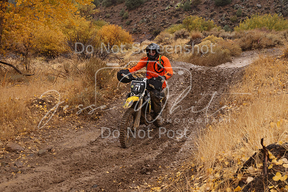 JW_VCGP'21_7528