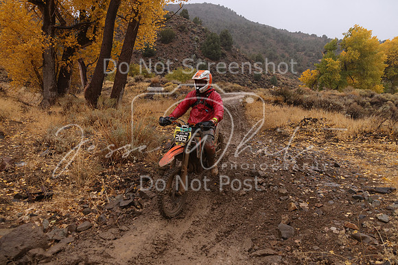 JW_VCGP'21_7611