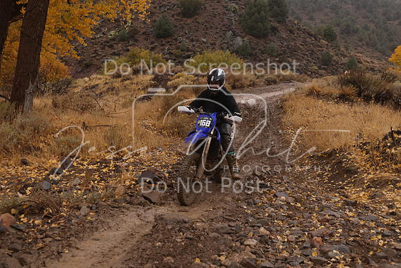 JW_VCGP'21_7631
