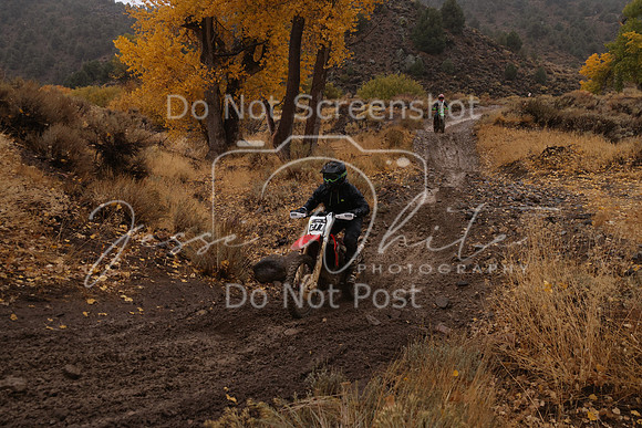 JW_VCGP'21_6564