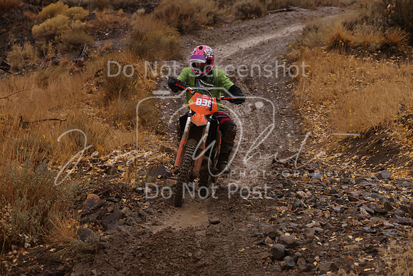 JW_VCGP'21_6580