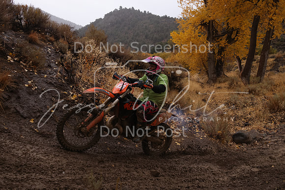 JW_VCGP'21_6584