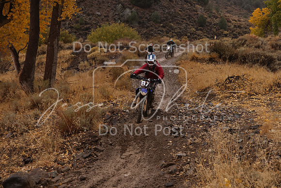 JW_VCGP'21_6592