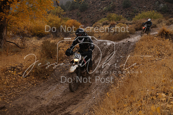 JW_VCGP'21_6996
