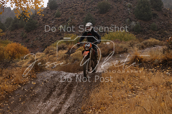 JW_VCGP'21_7009